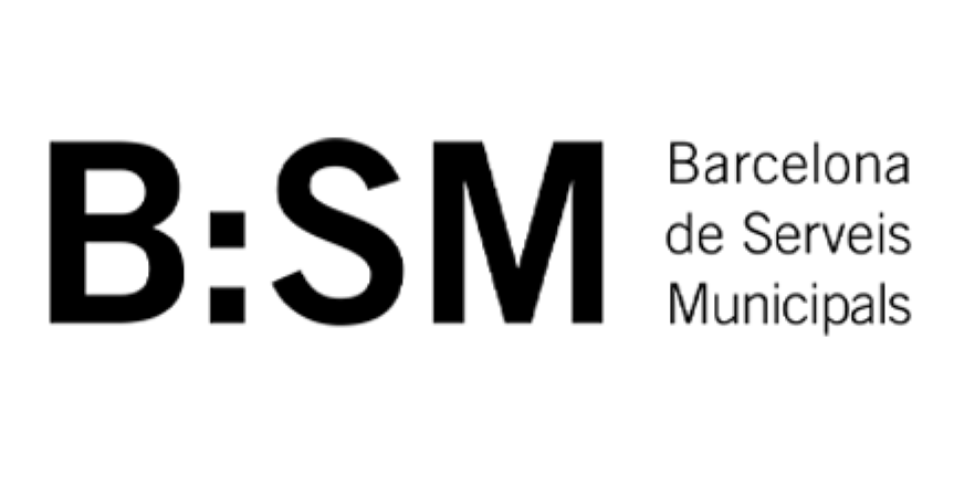 BSM-1